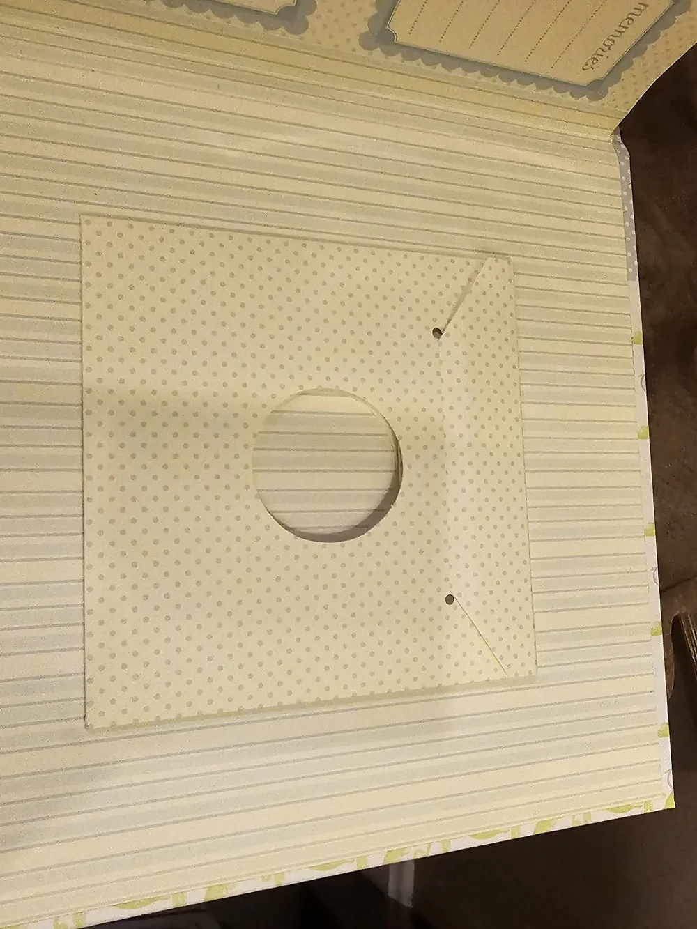 PIONEER Faux Brown Suede Photo Album And Peapod Design Photo
